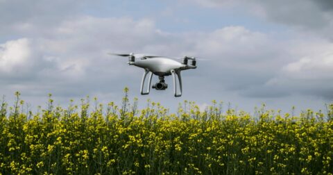 drone field
