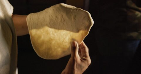 plant-based history of the Dine people